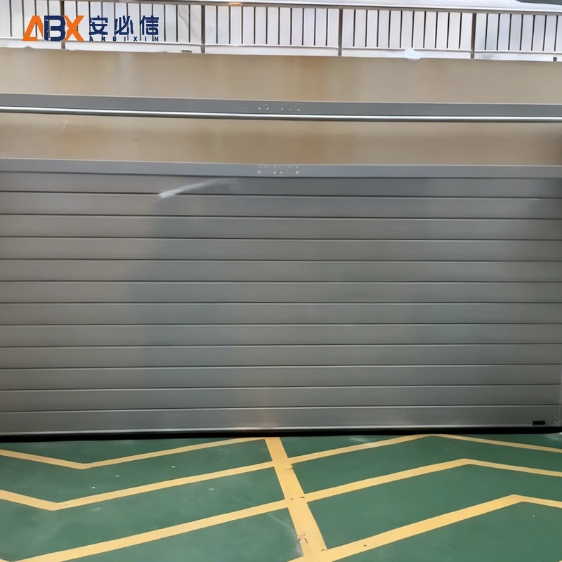 永州市软帘高速门